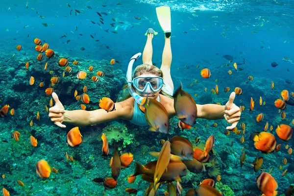 snorkelling