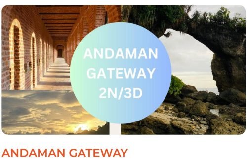 WhatsApp Image 2025-08-07 at 12.21.46 PM