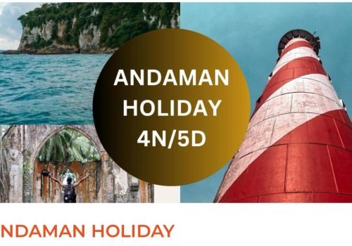 WhatsApp Image 2025-08-07 at 12.21.47 PM