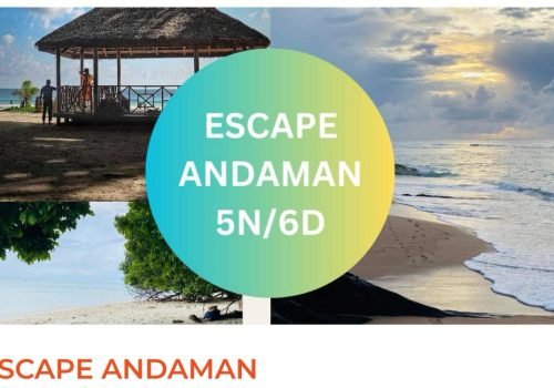 WhatsApp Image 2025-08-07 at 12.21.47 PM(1)